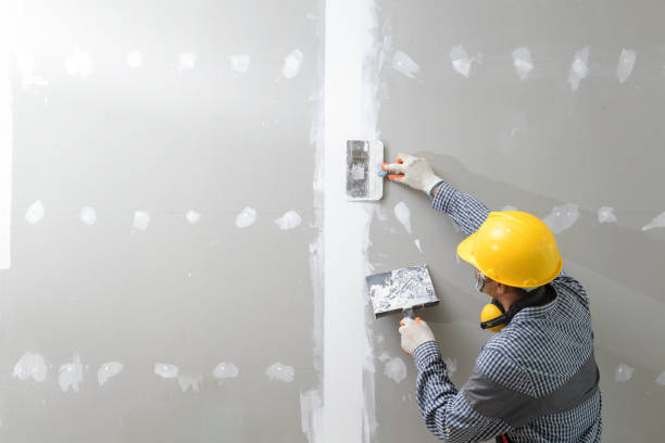 Best Wallpaper Removal and Painting  in Byrdstown, TN